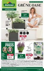 Dehner Flugblatt woche 20 Seite 1