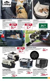 Dehner Flugblatt woche 20 Seite 13