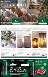 Dehner Flugblatt woche 20 Seite 16