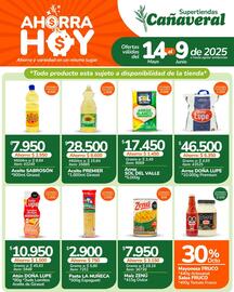 Catálogo Supertiendas Cañaveral Página 2