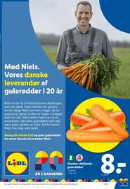 Lidl tilbudsavis uge 21 Side 37