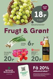 SPAR tilbudsavis uge 20 Side 2