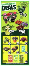 FreshCo flyer Page 6