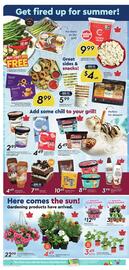 Safeway flyer Page 6