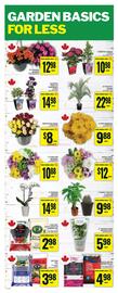 Food Basics flyer week 20 Page 23