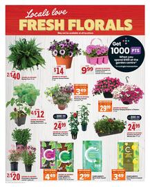 Foodland flyer week 20 Page 10