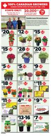 Loblaws flyer week 20 Page 13