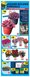 Real Canadian Superstore flyer week 20 Page 37