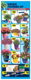 Real Canadian Superstore flyer week 20 Page 38