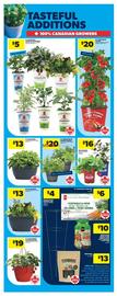 Real Canadian Superstore flyer week 20 Page 39