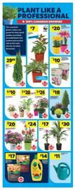 Real Canadian Superstore flyer week 20 Page 41