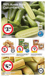 Coles catalogue week 20 Page 13