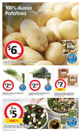 Coles catalogue week 20 Page 13