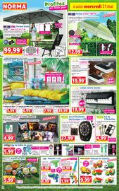 Catalogue Norma semaine 21 page 2