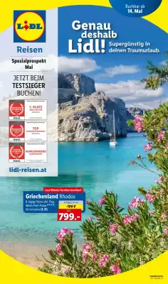 Lidl Reisen Flugblatt (gültig bis 1-06)