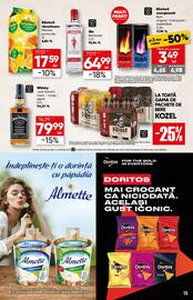 Catalog PROFI Pagină 13