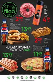 Catalog PROFI Pagină 17