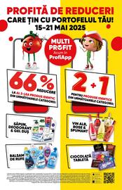 Catalog PROFI Pagină 2