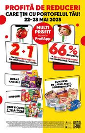 Catalog PROFI Pagină 3