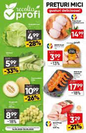Catalog PROFI Pagină 4