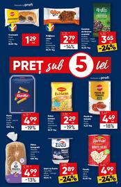 Catalog PROFI Pagină 7