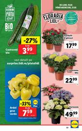 Catalog Lidl săptămâna 21 Pagină 3
