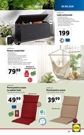 Catalog Lidl săptămâna 21 Pagină 61