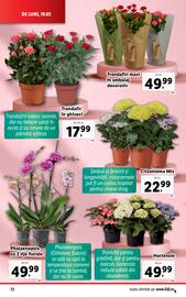 Catalog Lidl săptămâna 21 Pagină 72