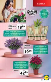 Catalog Lidl săptămâna 21 Pagină 73
