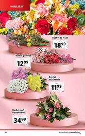 Catalog Lidl săptămâna 21 Pagină 74