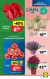 Catalog Lidl săptămâna 21 Pagină 79