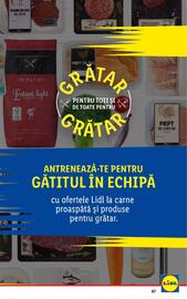 Catalog Lidl săptămâna 21 Pagină 87