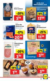 Catalog Lidl săptămâna 21 Pagină 93