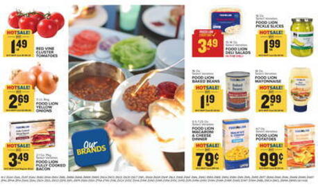Food Lion Weekly Ad week 20 Page 10