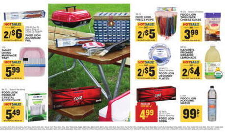 Food Lion Weekly Ad week 20 Page 11