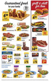 Food Lion Weekly Ad week 20 Page 2