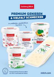 Eurogast Grissemann Flugblatt Seite 11