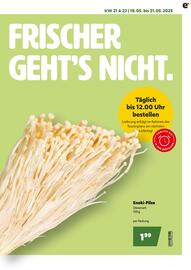 Eurogast Grissemann Flugblatt Seite 3