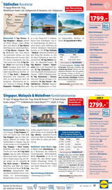 Lidl Flugblatt Seite 17