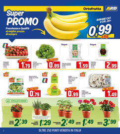 Volantino Ard Discount Pagina 2