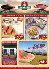 Wegschaider Flugblatt Seite 1