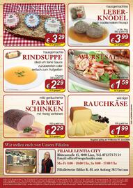 Wegschaider Flugblatt Seite 2