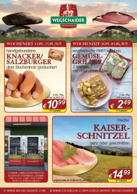 Wegschaider Flugblatt (gültig bis 3-06)