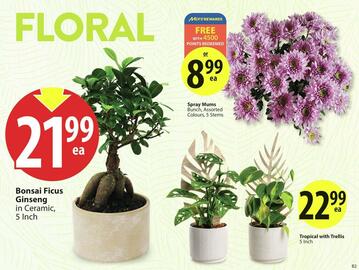 Save on Foods flyer week 20 Page 6
