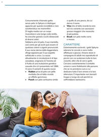 Volantino Basko Pagina 122