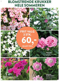 Plantorama tilbudsavis Side 2