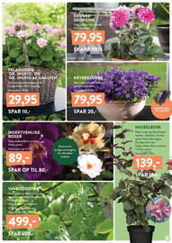 Plantorama tilbudsavis Side 5