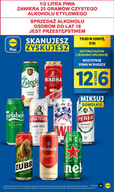 Lidl gazetka Strona 13