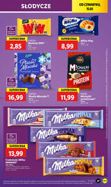 Lidl gazetka Strona 43