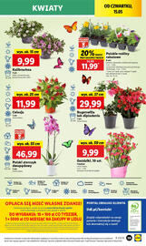 Lidl gazetka Strona 45